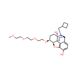 COCCOCCOCCO[C@H]1CC[C@@]2(O)[C@H]3Cc4ccc(O)c5c4[C@@]2(CCN3CC2CCC2)[C@H]1O5 ZINC000146293184