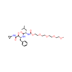COCCOCCOCCOCCOC(=O)N[C@@H](CC(C)C)C(=O)N[C@@H](Cc1ccccc1)C(=O)C(=O)NC1CC1 ZINC000044417779
