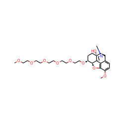 COCCOCCOCCOCCOCCO[C@H]1CC[C@@]2(O)[C@H]3Cc4ccc(OC)c5c4[C@@]2(CCN3C)[C@H]1O5 ZINC000199516761