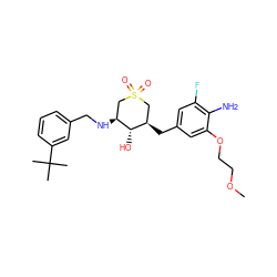 COCCOc1cc(C[C@@H]2CS(=O)(=O)C[C@H](NCc3cccc(C(C)(C)C)c3)[C@H]2O)cc(F)c1N ZINC000084671044