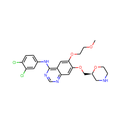 COCCOc1cc2c(Nc3ccc(Cl)c(Cl)c3)ncnc2cc1OC[C@@H]1CNCCO1 ZINC000114822040