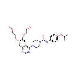 COCCOc1cc2ncnc(N3CCN(C(=O)Nc4ccc(OC(C)C)cc4)CC3)c2cc1OCCOC ZINC000027210388