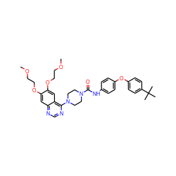 COCCOc1cc2ncnc(N3CCN(C(=O)Nc4ccc(Oc5ccc(C(C)(C)C)cc5)cc4)CC3)c2cc1OCCOC ZINC000027208776