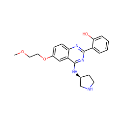 COCCOc1ccc2nc(-c3ccccc3O)nc(N[C@H]3CCNC3)c2c1 ZINC000066099718