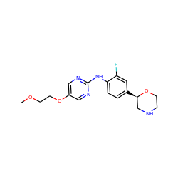 COCCOc1cnc(Nc2ccc([C@@H]3CNCCO3)cc2F)nc1 ZINC000150034721