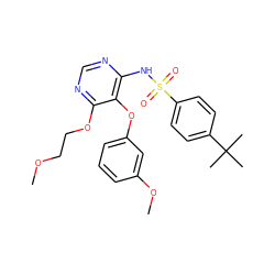 COCCOc1ncnc(NS(=O)(=O)c2ccc(C(C)(C)C)cc2)c1Oc1cccc(OC)c1 ZINC000013864285