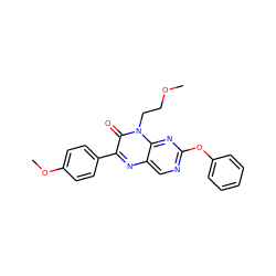 COCCn1c(=O)c(-c2ccc(OC)cc2)nc2cnc(Oc3ccccc3)nc21 ZINC000004238240