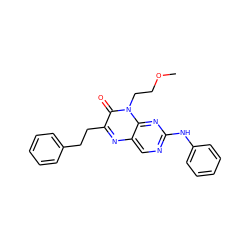 COCCn1c(=O)c(CCc2ccccc2)nc2cnc(Nc3ccccc3)nc21 ZINC000004238599