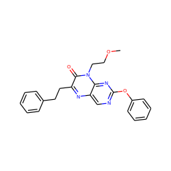 COCCn1c(=O)c(CCc2ccccc2)nc2cnc(Oc3ccccc3)nc21 ZINC000004238819