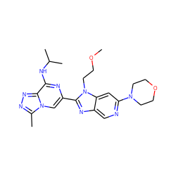 COCCn1c(-c2cn3c(C)nnc3c(NC(C)C)n2)nc2cnc(N3CCOCC3)cc21 ZINC001772649691