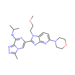 COCCn1c(-c2cn3c(C)nnc3c(NC(C)C)n2)nc2nc(N3CCOCC3)ccc21 ZINC001772617772