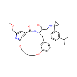 COCc1cc2cc(n1)OCCCCOc1cccc(c1)C[C@@H]([C@H](O)CNC1(c3cccc(C(C)C)c3)CC1)NC2=O ZINC000043203210