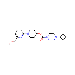 COCc1cccc(N2CCC(OC(=O)N3CCN(C4CCC4)CC3)CC2)n1 ZINC000223526704