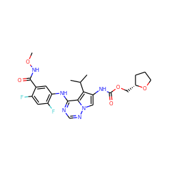 CONC(=O)c1cc(Nc2ncnn3cc(NC(=O)OC[C@@H]4CCCO4)c(C(C)C)c23)c(F)cc1F ZINC000013645290