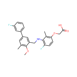 COc1c(C)cc(-c2cccc(F)c2)cc1CNc1c(F)ccc(OCC(=O)O)c1C ZINC000218870635