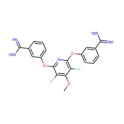 COc1c(F)c(Oc2cccc(C(=N)N)c2)nc(Oc2cccc(C(=N)N)c2)c1F ZINC000013797389