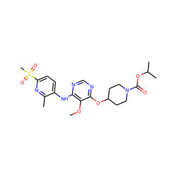 COc1c(Nc2ccc(S(C)(=O)=O)nc2C)ncnc1OC1CCN(C(=O)OC(C)C)CC1 ZINC000038256220