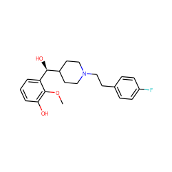 COc1c(O)cccc1[C@@H](O)C1CCN(CCc2ccc(F)cc2)CC1 ZINC000012480529