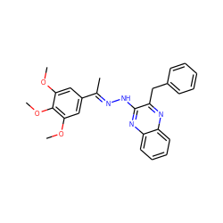 COc1cc(/C(C)=N/Nc2nc3ccccc3nc2Cc2ccccc2)cc(OC)c1OC ZINC000064539880