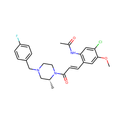 COc1cc(/C=C/C(=O)N2CCN(Cc3ccc(F)cc3)C[C@H]2C)c(NC(C)=O)cc1Cl ZINC000028530927