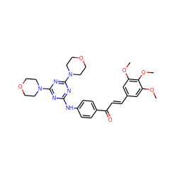 COc1cc(/C=C/C(=O)c2ccc(Nc3nc(N4CCOCC4)nc(N4CCOCC4)n3)cc2)cc(OC)c1OC ZINC001772586110