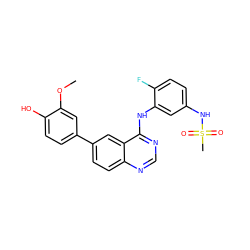 COc1cc(-c2ccc3ncnc(Nc4cc(NS(C)(=O)=O)ccc4F)c3c2)ccc1O ZINC000143187770