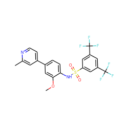 COc1cc(-c2ccnc(C)c2)ccc1NS(=O)(=O)c1cc(C(F)(F)F)cc(C(F)(F)F)c1 ZINC000103283634