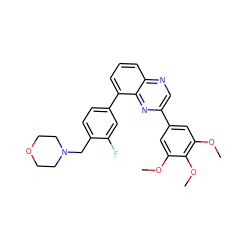 COc1cc(-c2cnc3cccc(-c4ccc(CN5CCOCC5)c(F)c4)c3n2)cc(OC)c1OC ZINC000049066783