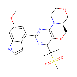 COc1cc(-c2nc3c(c(C(C)(C)S(C)(=O)=O)n2)OC[C@@H]2COCCN32)c2cc[nH]c2c1 ZINC000218341354