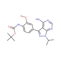 COc1cc(-c2nn(C(C)C)c3ncnc(N)c23)ccc1NC(=O)OC(C)(C)C ZINC000008581989