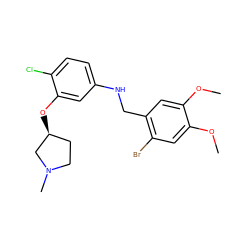 COc1cc(Br)c(CNc2ccc(Cl)c(O[C@H]3CCN(C)C3)c2)cc1OC ZINC000095605051