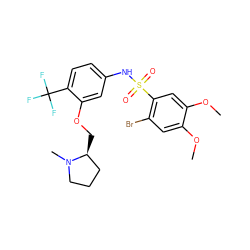 COc1cc(Br)c(S(=O)(=O)Nc2ccc(C(F)(F)F)c(OC[C@H]3CCCN3C)c2)cc1OC ZINC000095601228