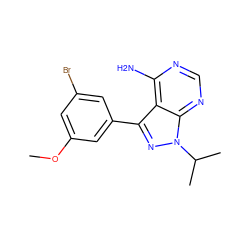 COc1cc(Br)cc(-c2nn(C(C)C)c3ncnc(N)c23)c1 ZINC000008581902