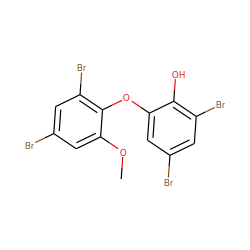 COc1cc(Br)cc(Br)c1Oc1cc(Br)cc(Br)c1O ZINC000095606621