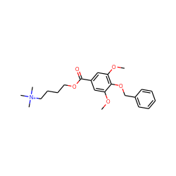 COc1cc(C(=O)OCCCC[N+](C)(C)C)cc(OC)c1OCc1ccccc1 ZINC000013741641