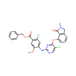 COc1cc(C(=O)OCc2ccccc2)c(Cl)cc1Nc1ncc(Cl)c(Oc2cccc3c2C(=O)N(C)C3)n1 ZINC000115952941