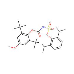 COc1cc(C(C)(C)C)c(OC(=O)NS(=O)(=O)Oc2c(C(C)C)cccc2C(C)C)c(C(C)(C)C)c1 ZINC000013747568