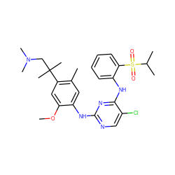 COc1cc(C(C)(C)CN(C)C)c(C)cc1Nc1ncc(Cl)c(Nc2ccccc2S(=O)(=O)C(C)C)n1 ZINC001772609387