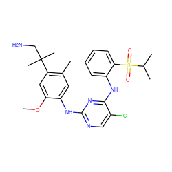 COc1cc(C(C)(C)CN)c(C)cc1Nc1ncc(Cl)c(Nc2ccccc2S(=O)(=O)C(C)C)n1 ZINC001772575103