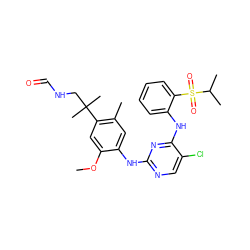 COc1cc(C(C)(C)CNC=O)c(C)cc1Nc1ncc(Cl)c(Nc2ccccc2S(=O)(=O)C(C)C)n1 ZINC001772657655