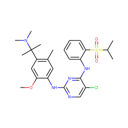 COc1cc(C(C)(C)N(C)C)c(C)cc1Nc1ncc(Cl)c(Nc2ccccc2S(=O)(=O)C(C)C)n1 ZINC001772577115