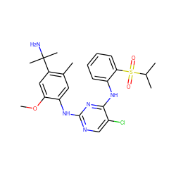 COc1cc(C(C)(C)N)c(C)cc1Nc1ncc(Cl)c(Nc2ccccc2S(=O)(=O)C(C)C)n1 ZINC001772615467