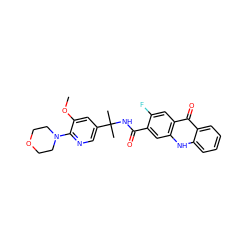 COc1cc(C(C)(C)NC(=O)c2cc3[nH]c4ccccc4c(=O)c3cc2F)cnc1N1CCOCC1 ZINC000014970366