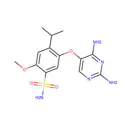 COc1cc(C(C)C)c(Oc2cnc(N)nc2N)cc1S(N)(=O)=O ZINC000116342482