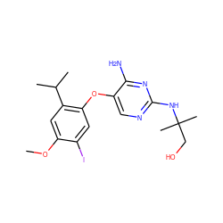 COc1cc(C(C)C)c(Oc2cnc(NC(C)(C)CO)nc2N)cc1I ZINC000040952982