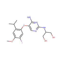 COc1cc(C(C)C)c(Oc2cnc(NC(CO)CO)nc2N)cc1I ZINC000040953233