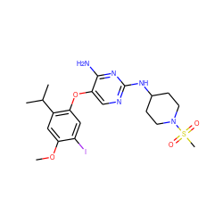 COc1cc(C(C)C)c(Oc2cnc(NC3CCN(S(C)(=O)=O)CC3)nc2N)cc1I ZINC000049878275