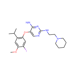 COc1cc(C(C)C)c(Oc2cnc(NCCN3CCCCC3)nc2N)cc1I ZINC000040423757