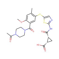 COc1cc(C)c(Sc2cnc(NC(=O)[C@@H]3C[C@@H]3C(=O)O)s2)cc1C(=O)N1CCN(C(C)=O)CC1 ZINC000036184862