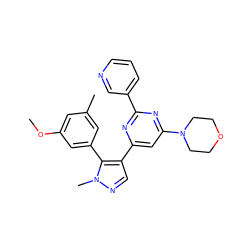 COc1cc(C)cc(-c2c(-c3cc(N4CCOCC4)nc(-c4cccnc4)n3)cnn2C)c1 ZINC000299838182